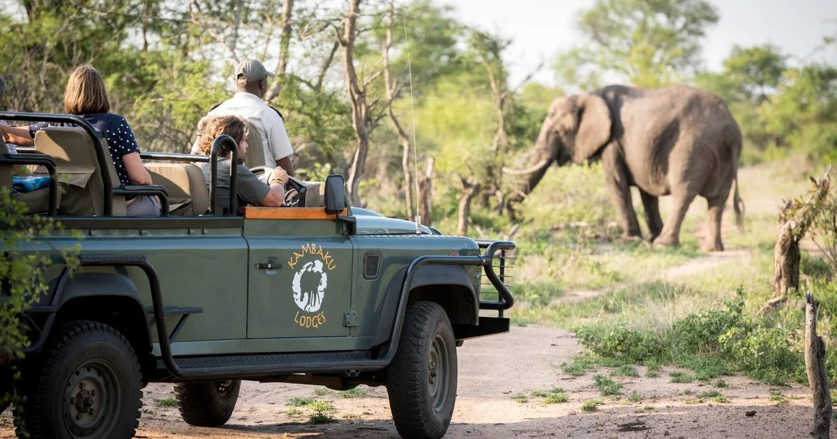 Day 6: Kruger - Morning & Evening Game Drives